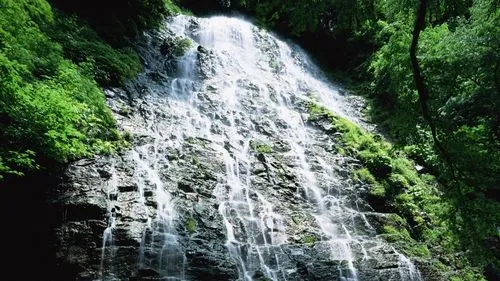 环保数字化高标准